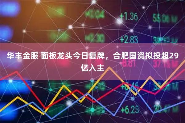 华丰金服 面板龙头今日复牌,合肥国资拟投超29亿入主