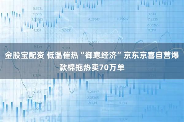金股宝配资 低温催热“御寒经济”京东京喜自营爆款棉拖热卖70万单